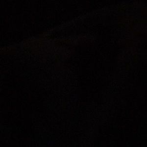 Meet your Posher, Jessie